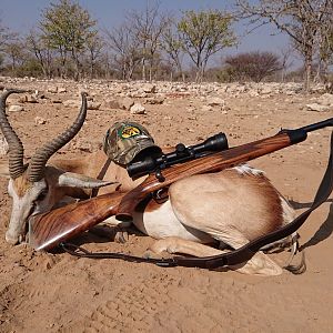 Namibia Hunt Springbok