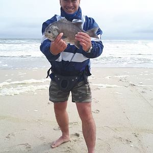 Namibia Fishing Galjoen