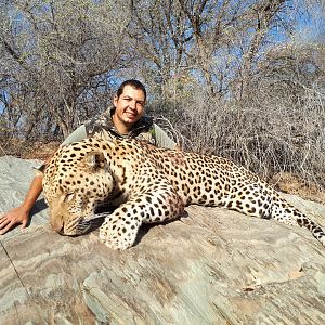 Leopard Hunt Namibia