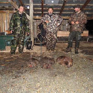 Chile South America Hunt Beaver