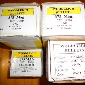 .375 Woodleigh Bullets 300 Gr