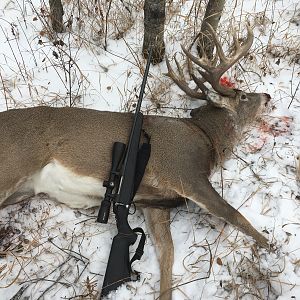 Canada Hunt White-tailed Deer