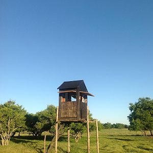 Hunting Blind Argentina