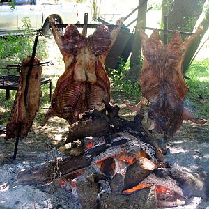 Hunting Lodge Argentina