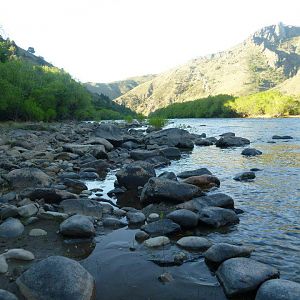 Hunting in Argentina