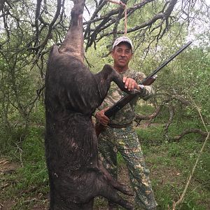 Wild Boar Hunting Argentina