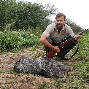 Javelina Hunting Argentina