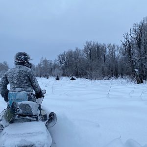 Kamchatka Russia Hunt Moose