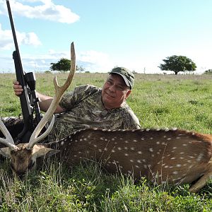 Hunt Axis Deer in Argentina