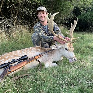 Argentina Hunt Fallow Deer