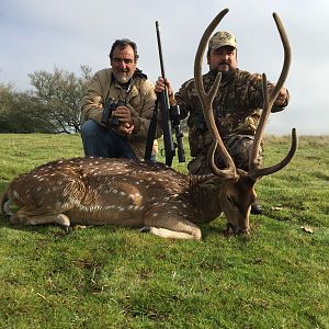 Hunting Axis Deer in Argentina