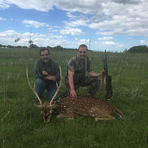 Hunting Axis Deer in Argentina