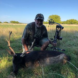 Argentina Bow Hunt Fallow Deer