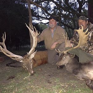 Red Stag & Fallow Deer Hunt Argentina