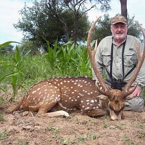 Argentina Hunting Axis Deer