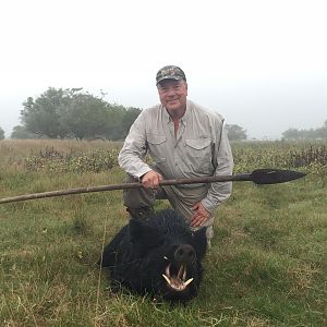 Spear Hunting Wild Boar in Argentina