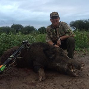 Bow Hunt Wild Boar in Argentina