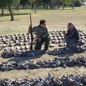 Hunt Duck & Dove in Argentina