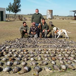Dove & Duck Hunting Argentina