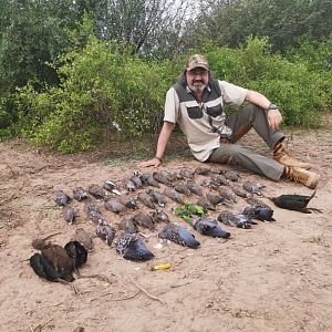 Pigeon Hunting Argentina