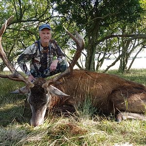 Hunting Red Stag in Argentina