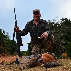 Hunt Jackal in South Africa