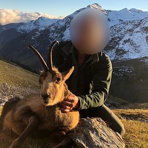 Hunting Chamois