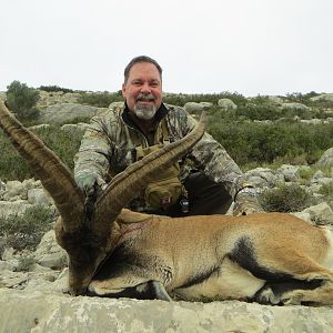 Hunt Ibex in Spain