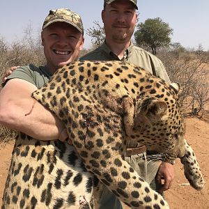 Hunting Leopard in Namibia