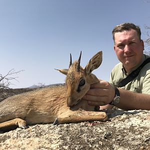 Hunt Damara Dik-dik in Namibia