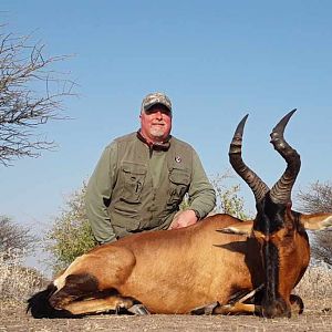 Red Hartebeest Hunting Botswana