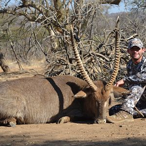 Waterbuck