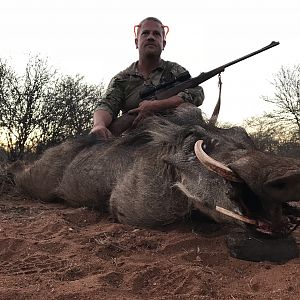 Hunt Warthog in South Africa