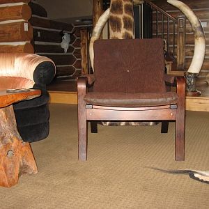 Elephant Chair Taxidermy