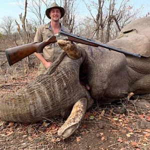 Zimbabwe Hunting Elephant