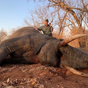 Elephant Hunt Zimbabwe