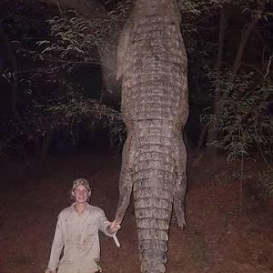 Hunt Crocodile in Zimbabwe