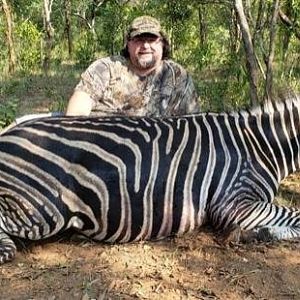 Burchell's Plain Zebra Hunt Zimbabwe