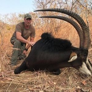 Sable Hunting Zimbabwe