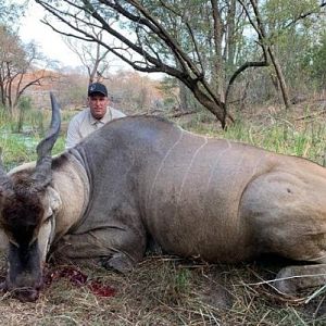 Hunt Eland in Zimbabwe