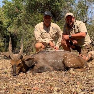 Hunt Bushbuck in Zimbabwe