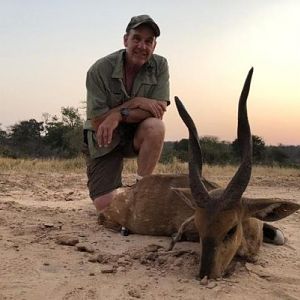 Zimbabwe Hunting Bushbuck