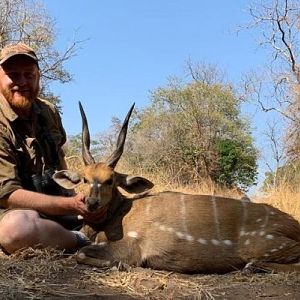 Hunting Bushbuck in Zimbabwe