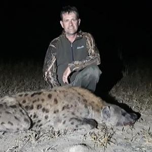 Zimbabwe Hunt Spotted Hyena