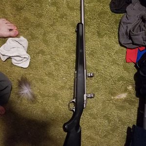 Ruger Hawkeye Stainless 338wm Rifle