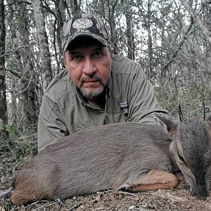 Blue Duiker Hunt South Africa