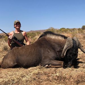 Hunting Black Wildebeest in South Africa