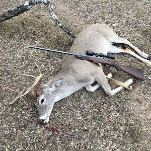 White-tailed Deer Hunt USA