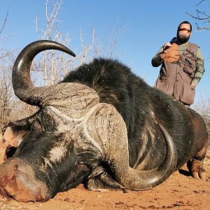 South Africa Hunting Buffalo