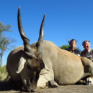 Namibia Hunting Eland